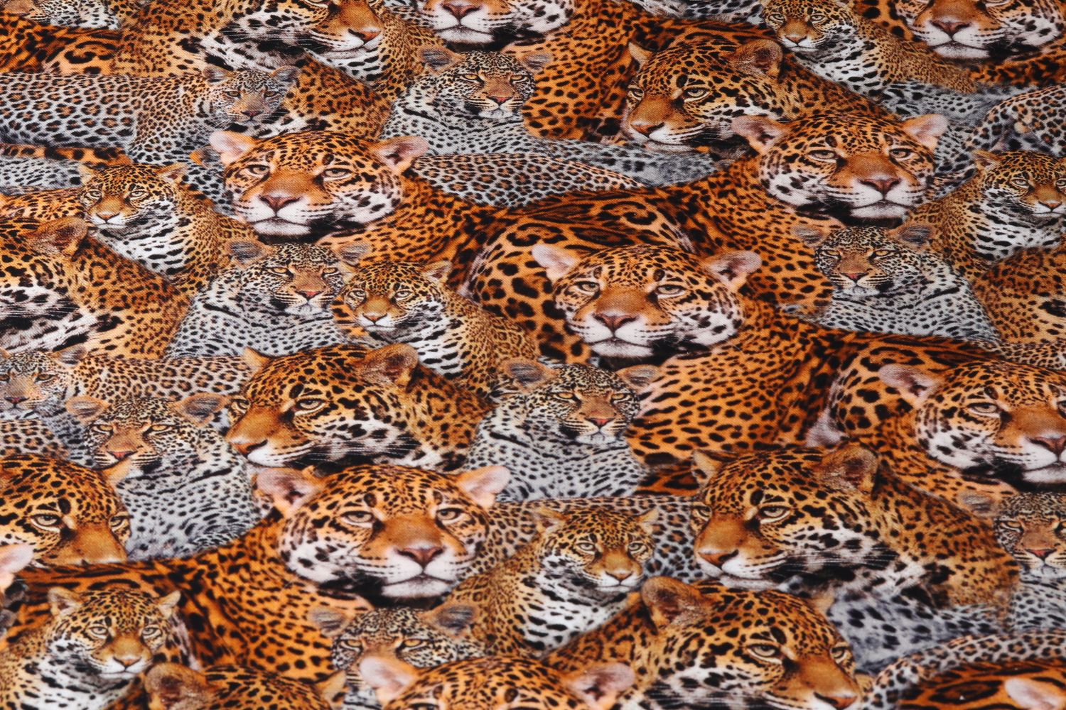 Canvas - Baumwolle Digitaldruck Leopard auf Braun