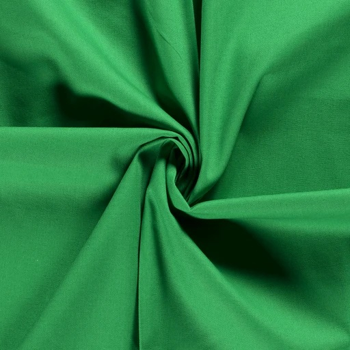 Baumwolle Canvas Uni Grün