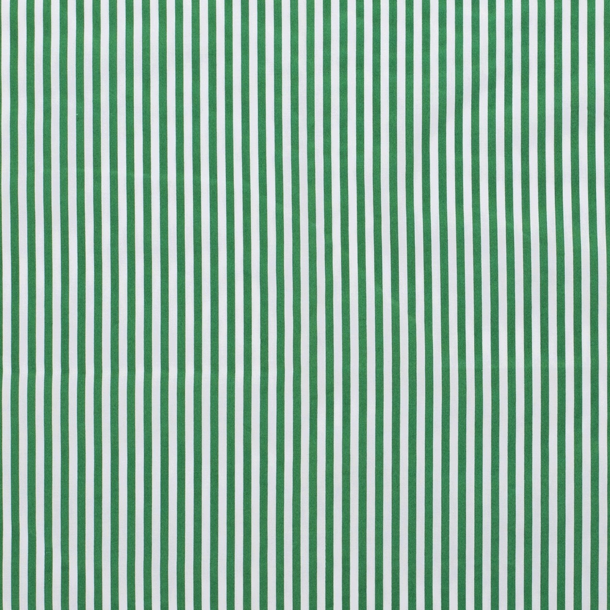 Baumwolle Streifen Standard Grün