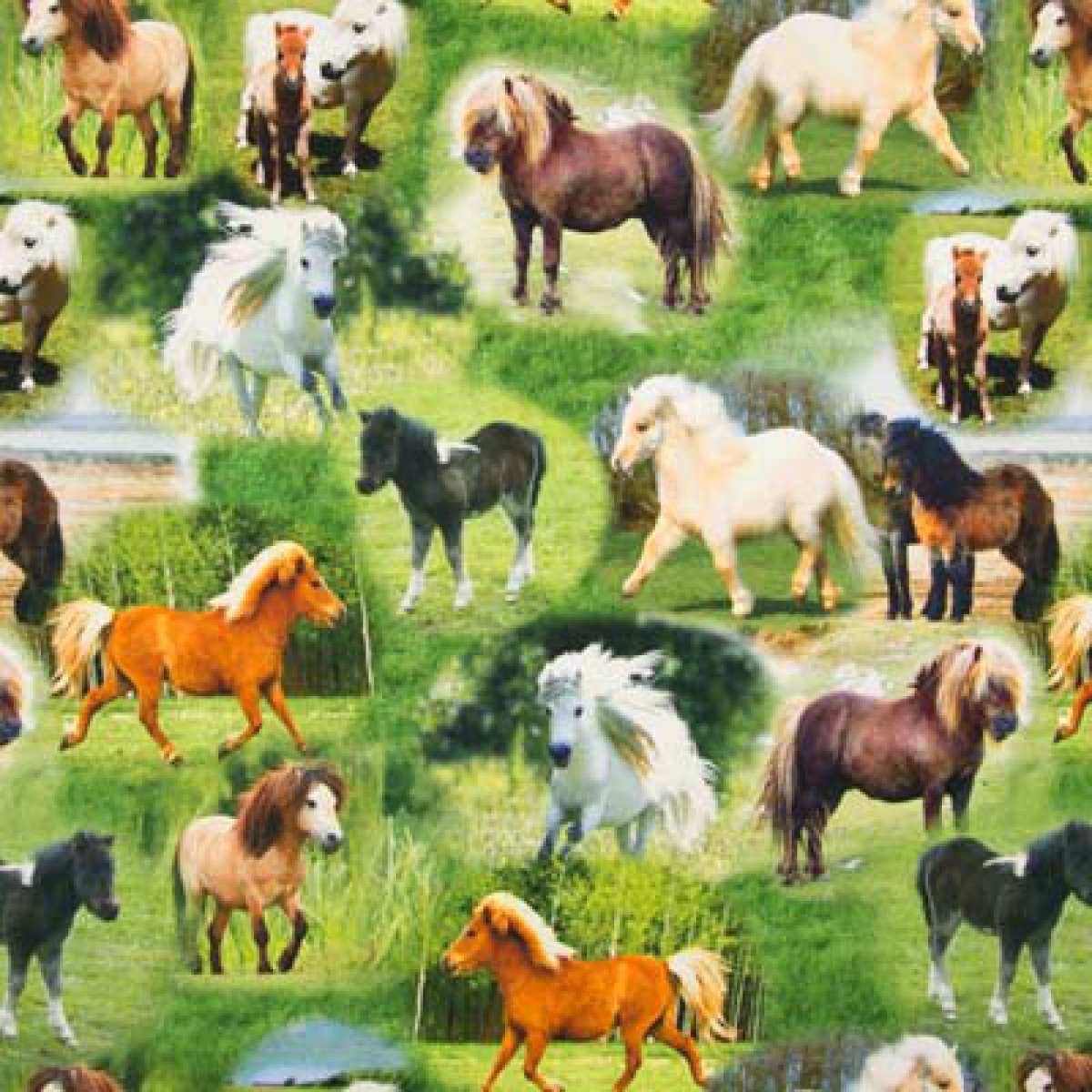 Jersey Ponies Digital