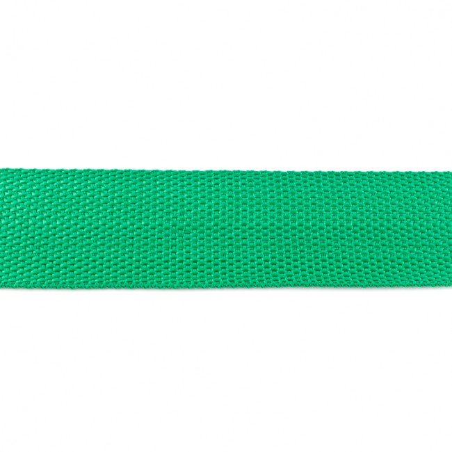 Gurtband Uni 4 cm Grün