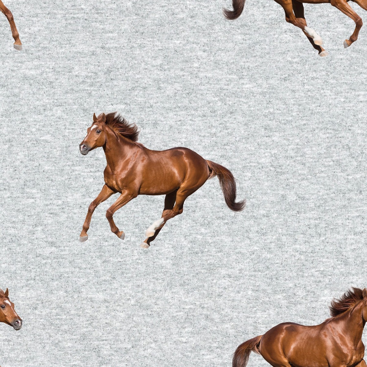 Wintersweat Braune Pferde auf Hellgrau Meliert Digital
