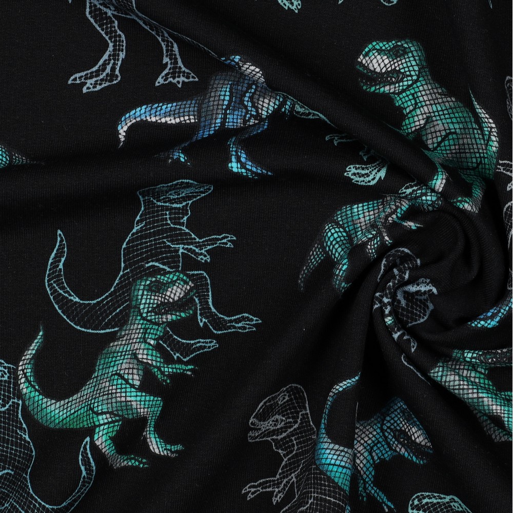 Ganzjahressweat T-Rex Print auf Schwarz Digital