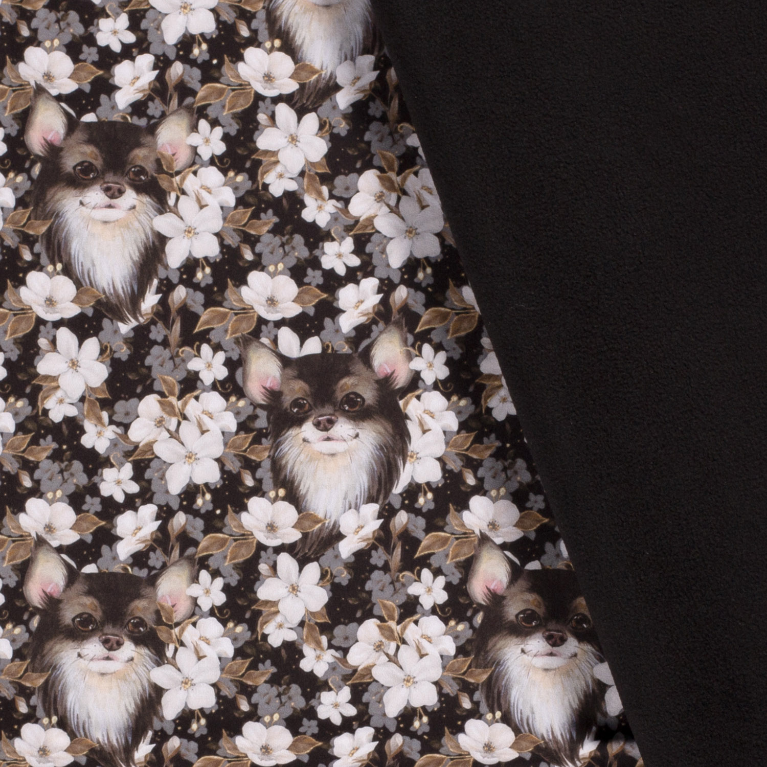 Softshell Chihuahua in den Blumen auf Schwarz Digital