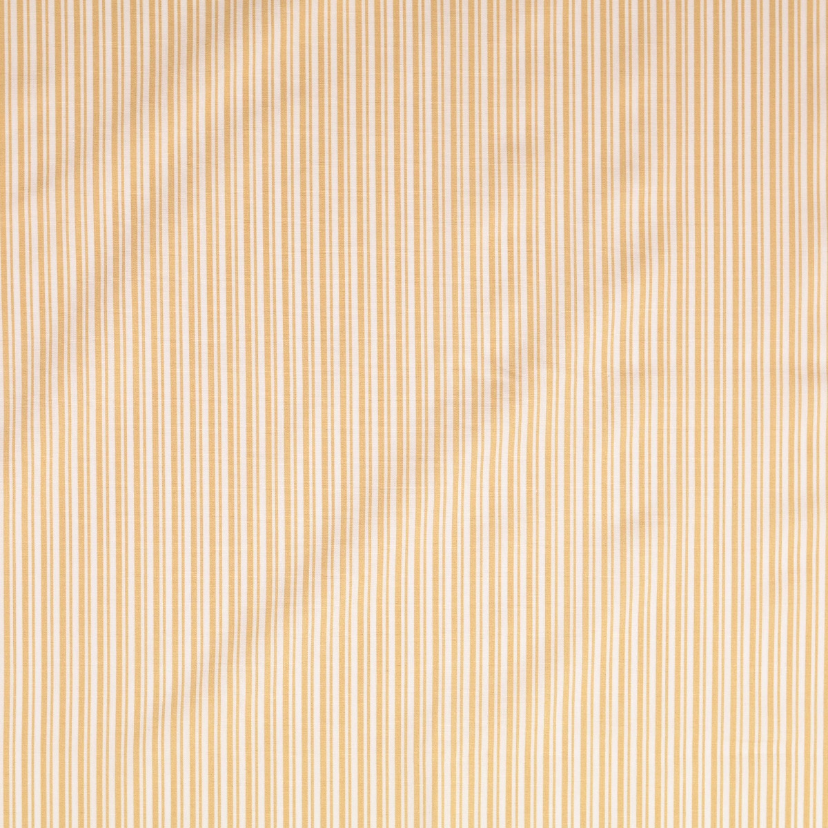 Baumwolle Darling Double Stripes Sand