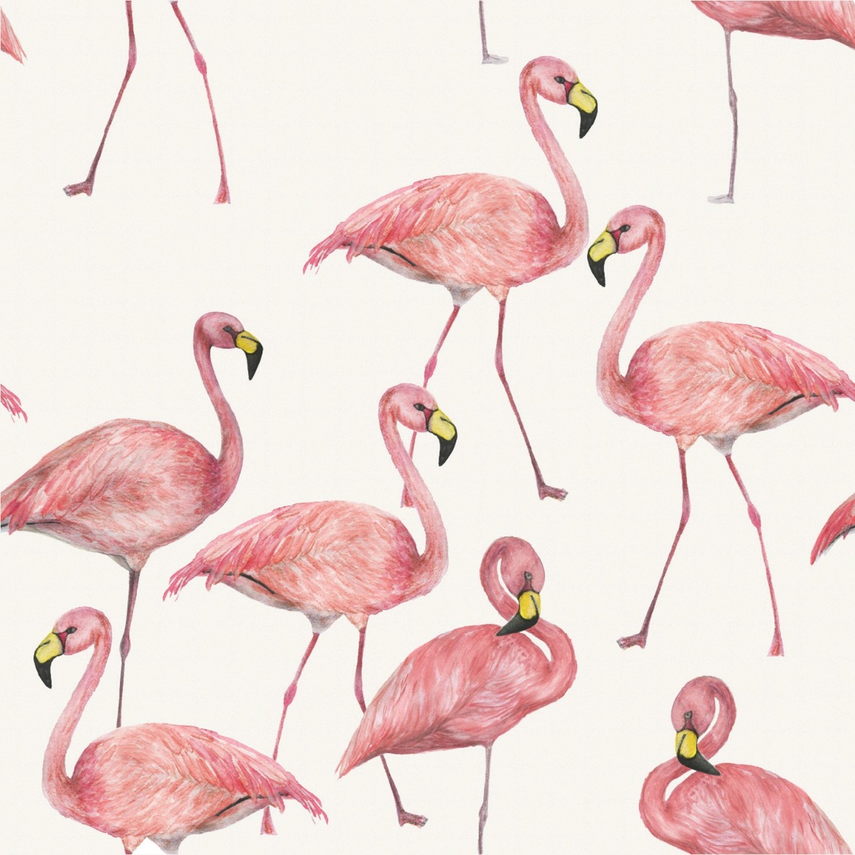 Jersey Flamingos auf Cremeweiß Digital