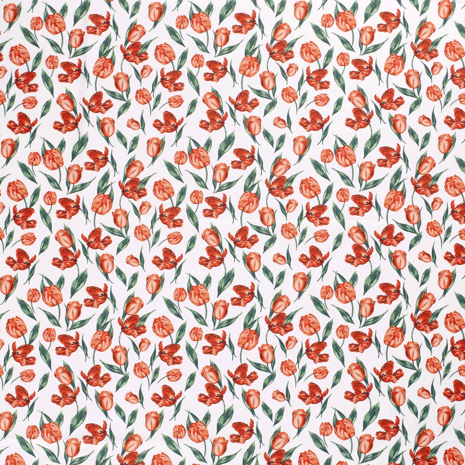 Baumwolle Rote Tulpen auf Weiß