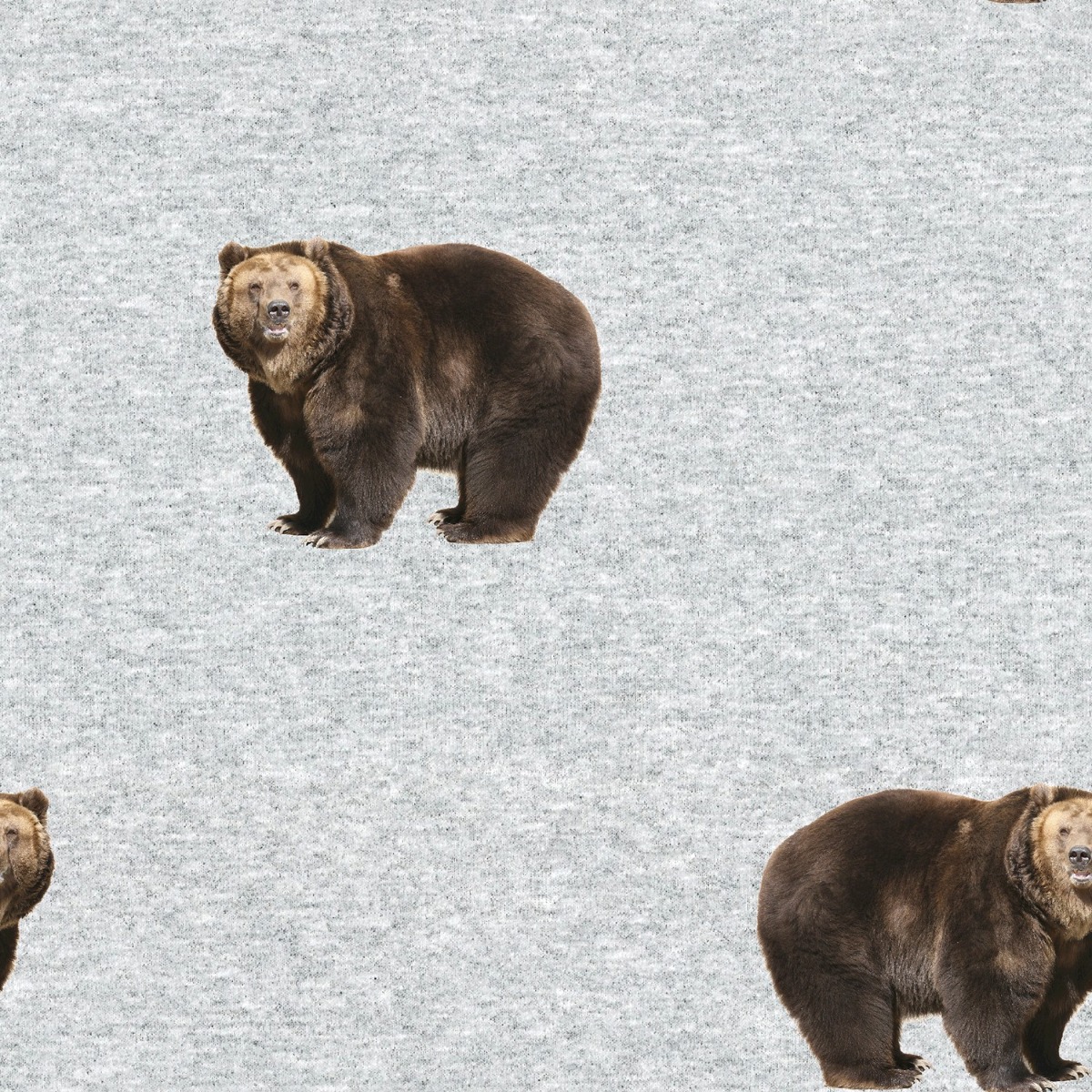 Wintersweat Braunbären auf Hellgrau Meliert Digital