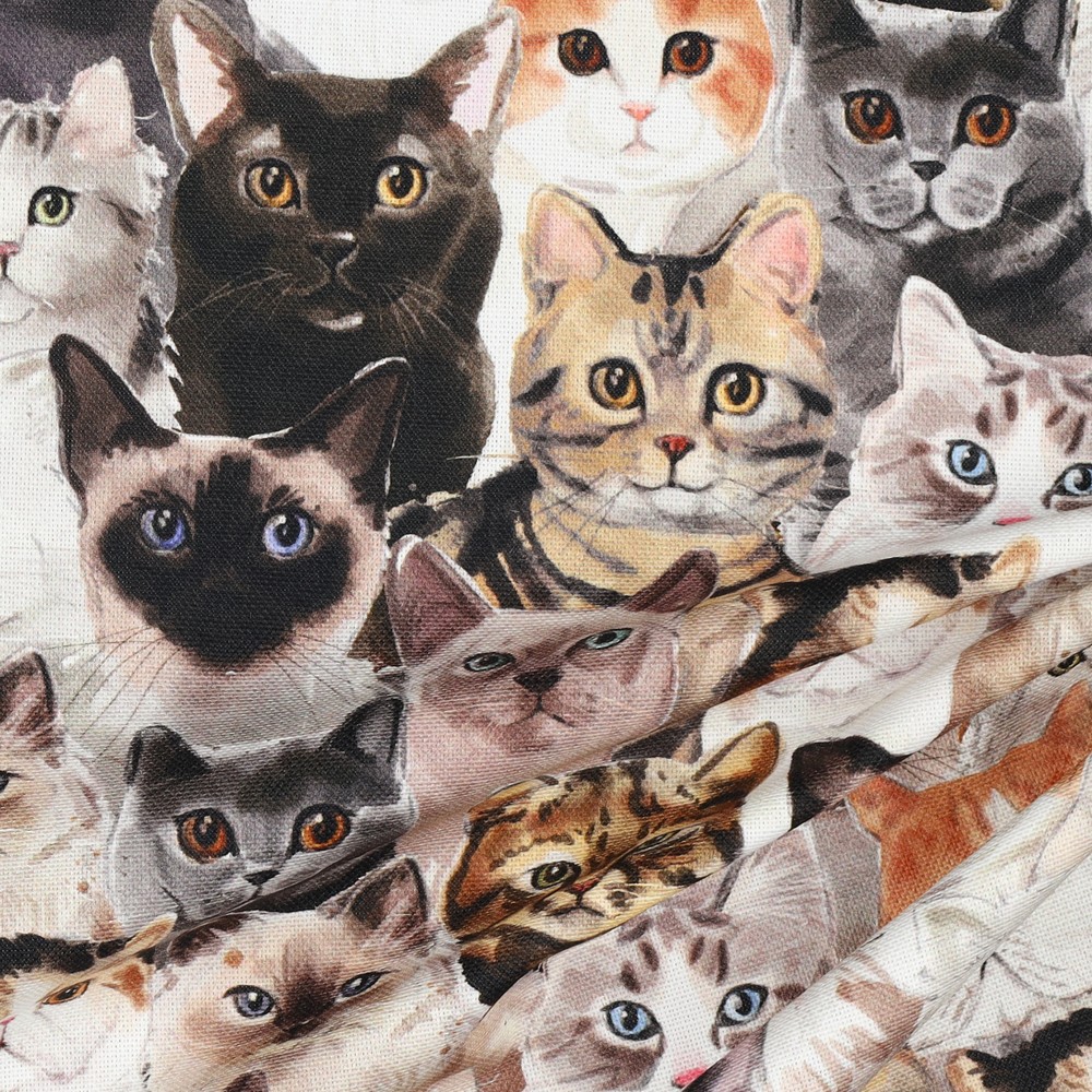 Canvas Cats Digital