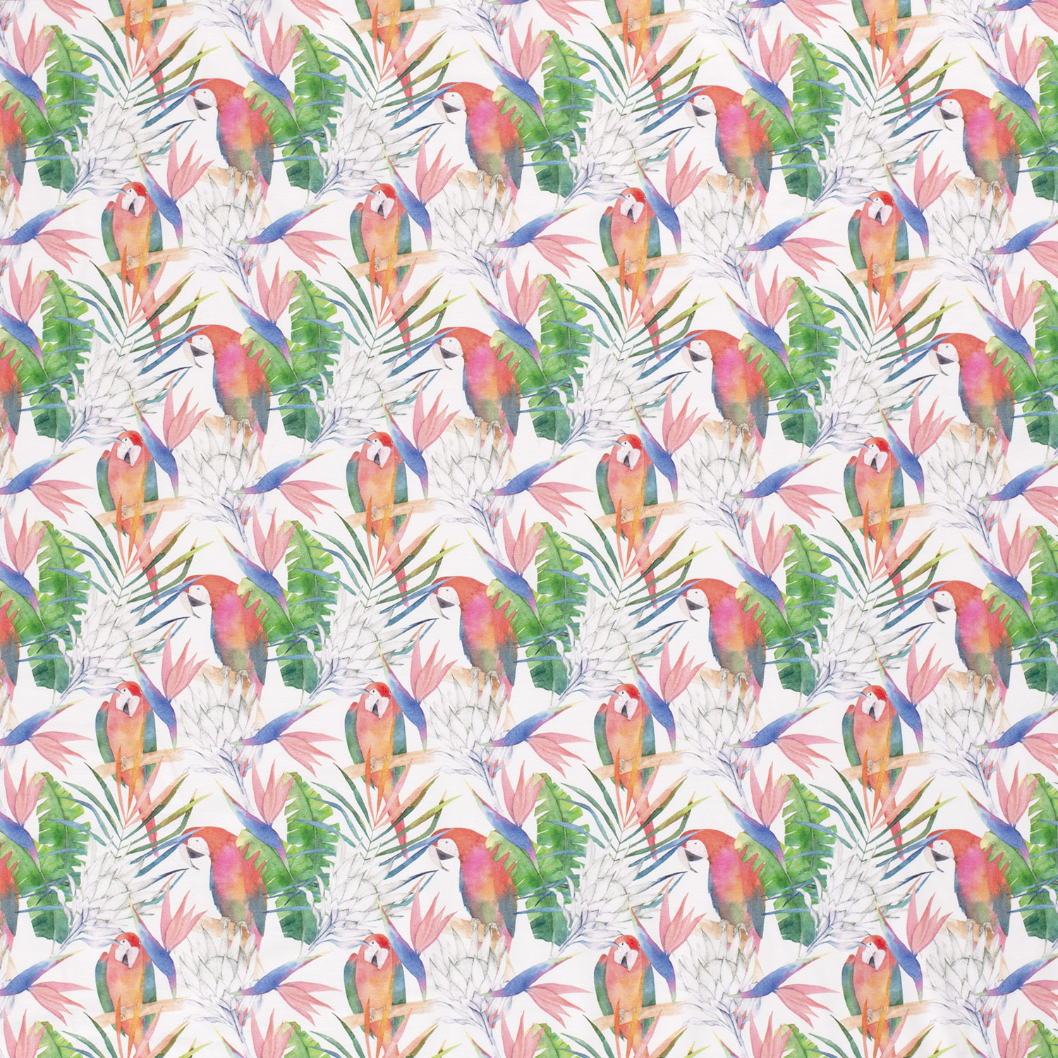 Jersey Papageien und Palmenblätter auf Weiß Digital