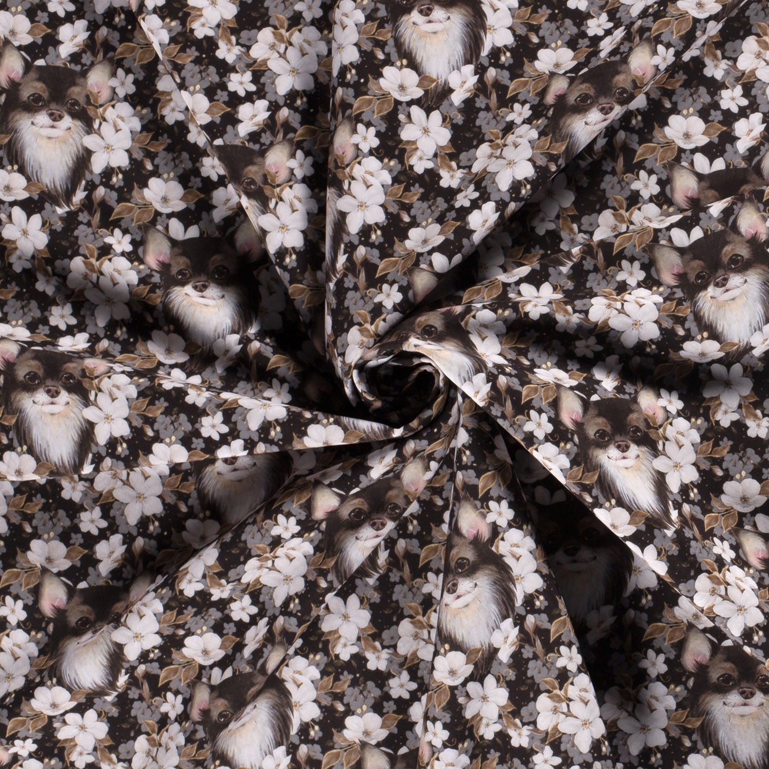 Softshell Chihuahua in den Blumen auf Schwarz Digital