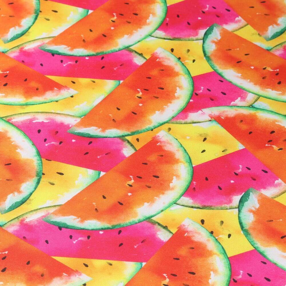 Canvas - Wassermelonen Mehrfarbig